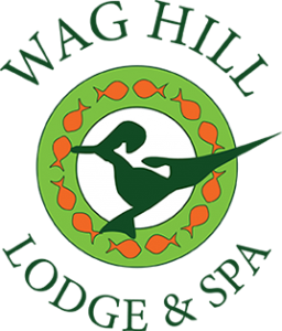 Wag Hill Lodge and Spa