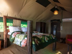 Luxury_tents