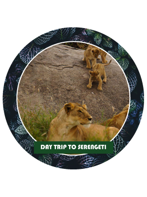 Serengeti